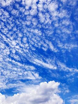 夏空 夏空の写真