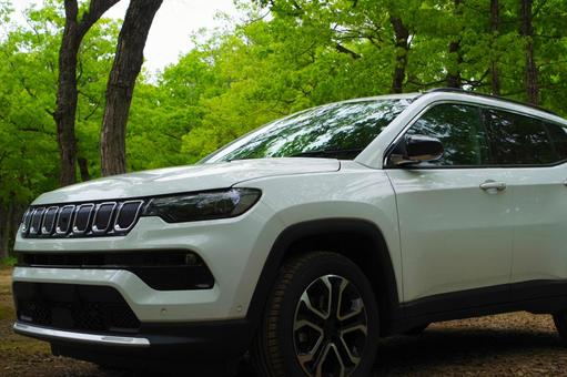 車と森 車と森 suv,森,車の写真素材