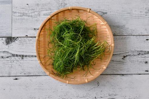 おかひじき おかひじき おかひじき,野菜,ミルナの写真素材