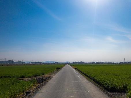 田舎の道 田舎の道の写真