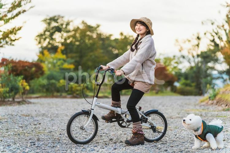 愛犬とキャンプ場でサイクリングする女性 自転車,ドッグラン,サイクリングの写真素材