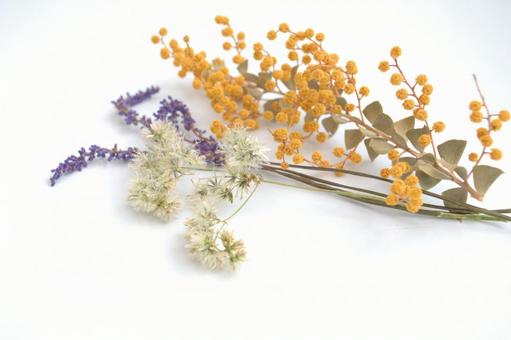 ドライフラワーの背景素材 ドライフラワーの背景素材 ドライフラワー,花,草花の写真素材