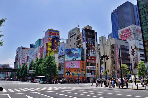 秋葉原2025夏 中央通り 秋葉原2025夏 中央通り 秋葉原,中央通り,電気街の写真素材