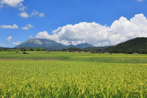 夏の貝田集落 9 夏の貝田集落 9 大山,貝田集落,棚田の写真素材