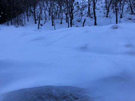 雪道 足跡 雪道 足跡の写真
