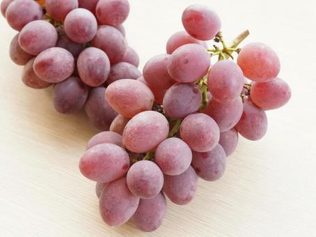 ぶどう 秋の味覚 サニールージュ ぶどう 秋の味覚 サニールージュ ぶどう,葡萄,ブドウの写真素材