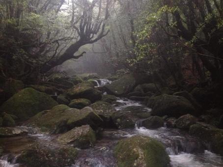 マイナスイオン マイナスイオン 山,自然,アウトドアの写真素材
