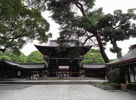 明治神宮 明治神宮の写真