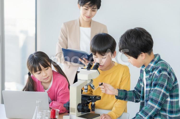 顕微鏡で観察する小学生 - No: 31945247｜写真素材なら「写真AC」無料（フリー）ダウンロードOK