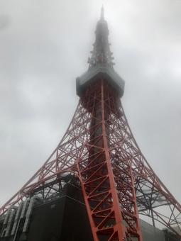 霞ゆくタワー 霞ゆくタワーの写真