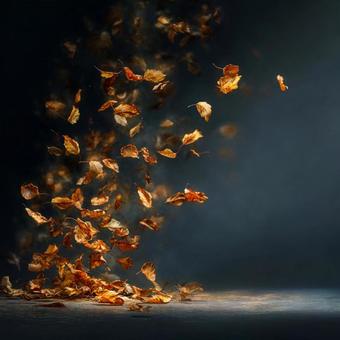 秋風に舞う落ち葉の風景 秋風に舞う落ち葉の風景の写真