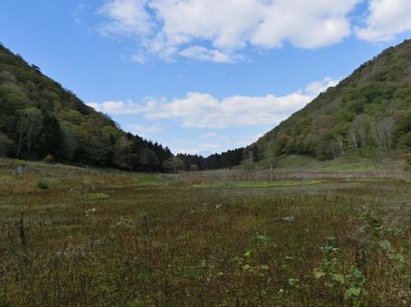洞爺湖の中島自然道 山,自然,風景の写真素材