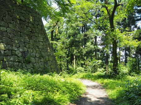 夏の景色4 夏の景色4 石垣,石積み,村上城跡の写真素材