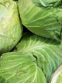 キャベツ きゃべつ キャベツ きゃべつの写真