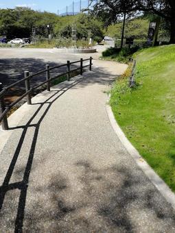 公園の遊歩道 公園の遊歩道の写真