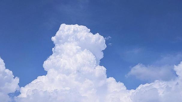 青空と雲-204 青空と雲-204の写真