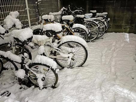 東京1月:駐輪場の積雪 2022/1/6 東京1月:駐輪場の積雪 2022/1/6 雪,積雪,自転車の写真素材