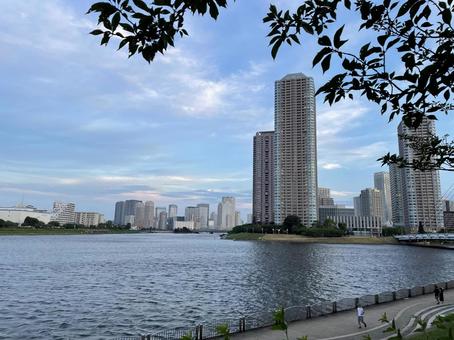 東京湾 東京湾の写真