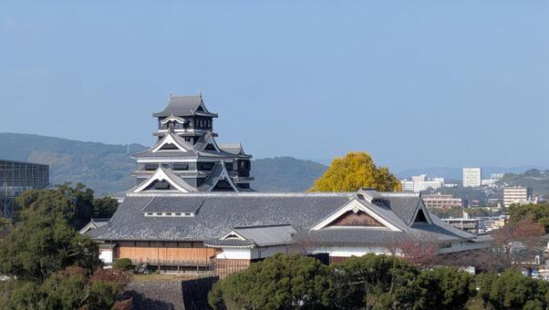 熊本城 熊本,城,秋の写真素材