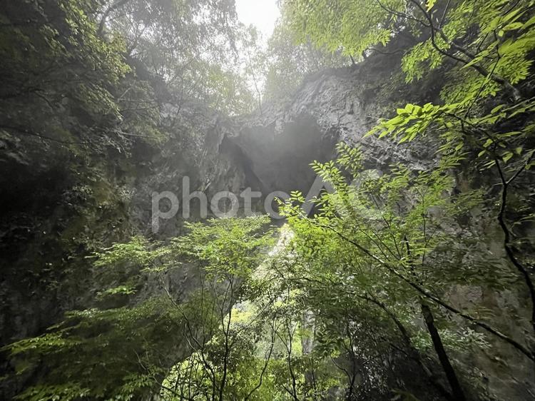 羅生門 岡山県,指定天然記念物,羅生門の写真素材