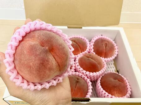 桃 もも,果物,デザートの写真素材
