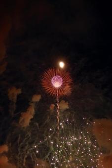 夜空に咲く花のような花火と月 夜空に咲く花のような花火と月の写真