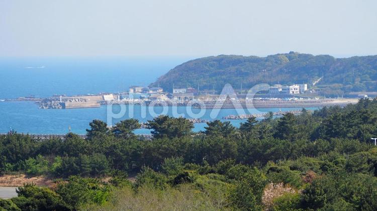 ひたち海浜公園・丘から観る漁港（茨城県） 春,みはらしの丘,海の写真素材