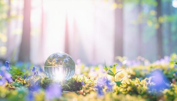 水晶玉/苔と青い花の森 水晶玉/苔と青い花の森の写真