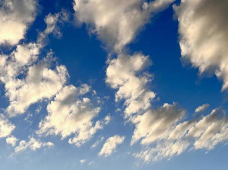 【風景写真】夏空の写真