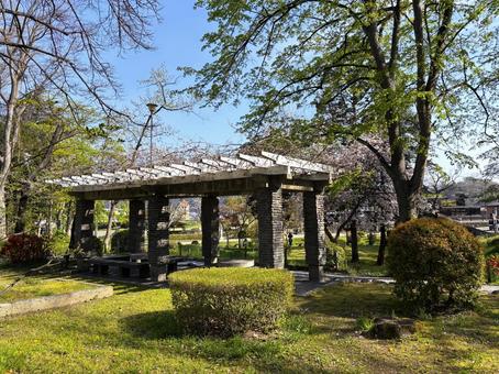 公園のベンチ 公園のベンチの写真