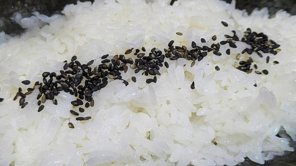 ごま塩ごはん お弁当,ごはん,白米の写真素材
