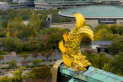 大阪城 金のシャチホコ しゃちほこ,大阪城,大阪の写真素材