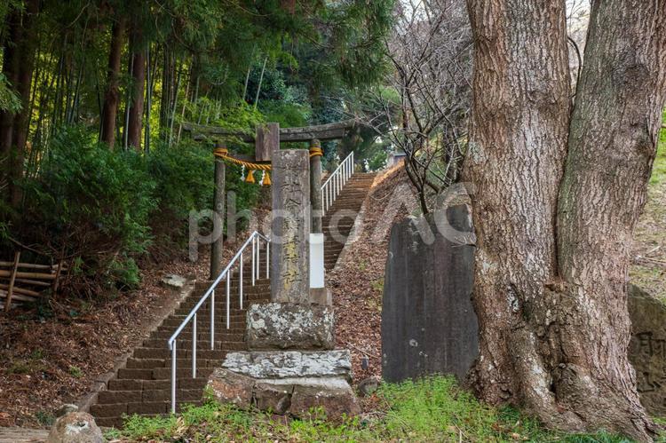 今熊野神社⑵ 神社,神社仏閣,今熊野神社の写真素材