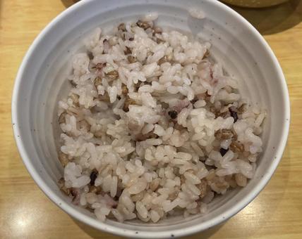 もち麦飯 麦めし 五穀 もち麦飯 麦めし 五穀 もち麦飯,麦めし,五穀の写真素材