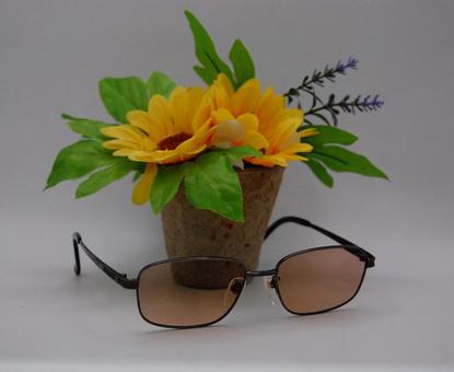 ひまわりとサングラス ひまわりとサングラスの写真
