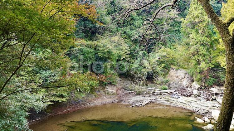 千葉県大多喜町養老渓谷　紅葉の粟又の滝 紅葉,粟又の滝,養老渓谷の写真素材