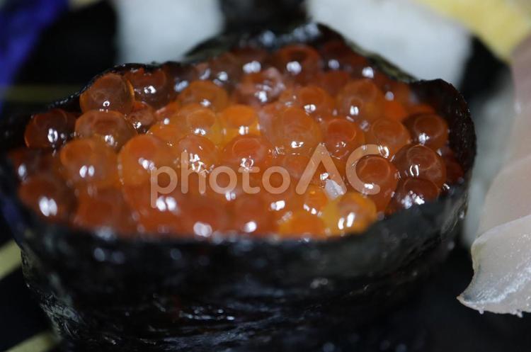 イクラの軍艦巻き イクラ,食べ物,すしの写真素材