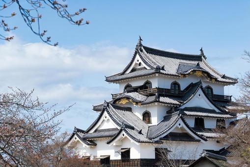 青空と彦根城 青空と彦根城 彦根城,天守閣,石垣の写真素材