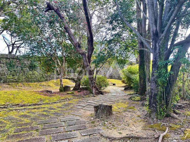 新宮城（丹鶴城跡）冬の城跡　公園 新宮城跡（丹鶴城跡）,新宮市,熊野川 冬の城跡の写真素材