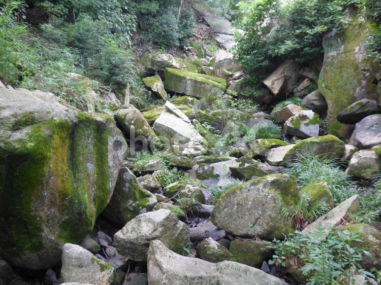 渓谷、水の流れ 自然,川,マイナスイオンの写真素材