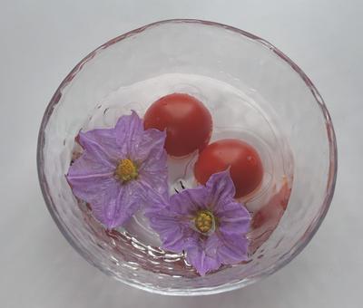 ガラスボウルに入ったナスの花とトマト2 ガラスボウルに入ったナスの花とトマト2の写真
