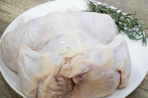 鶏の丸焼き 生肉 鶏の丸焼き 生肉の写真