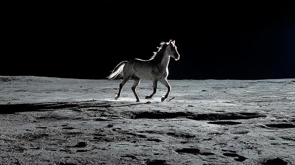 疾走する馬のシルエットと月の地面 疾走する馬のシルエットと月の地面の写真