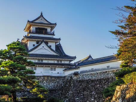 【高知県】高知市・高知城 高知城,高知公園,天守閣の写真素材