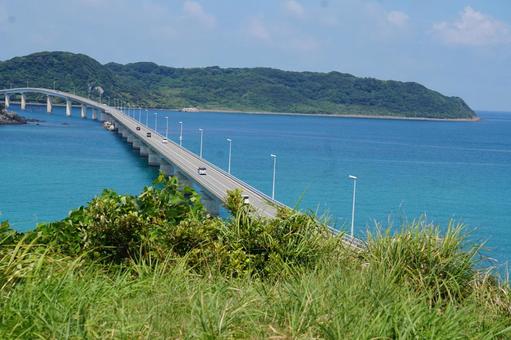 山口県角島大橋 山口県,角島大橋,海の写真素材