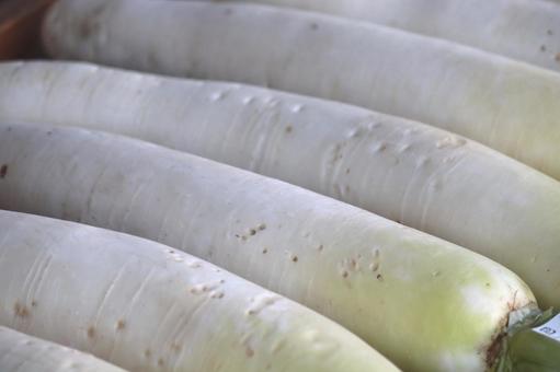 産直の店頭に並ぶ採りたて大根 大根,畑,ダイコンの写真素材