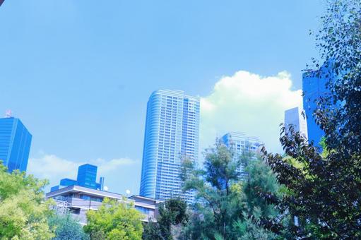 都会の風景　青と緑 青,緑,都会の写真素材