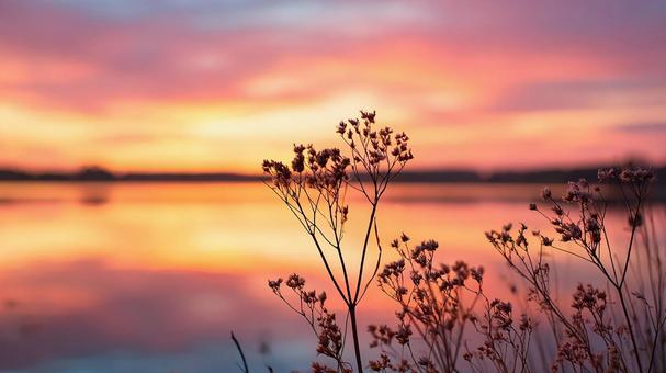 平和な景色、夕焼けに染まるの写真