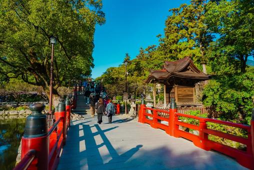 【福岡】太宰府天満宮の風景 太宰府天満宮,福岡,太宰府の写真素材
