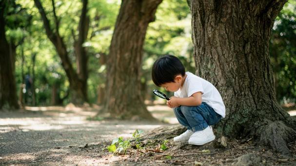 森の中で虫眼鏡で観察している男の子 森の中で虫眼鏡で観察している男の子の写真